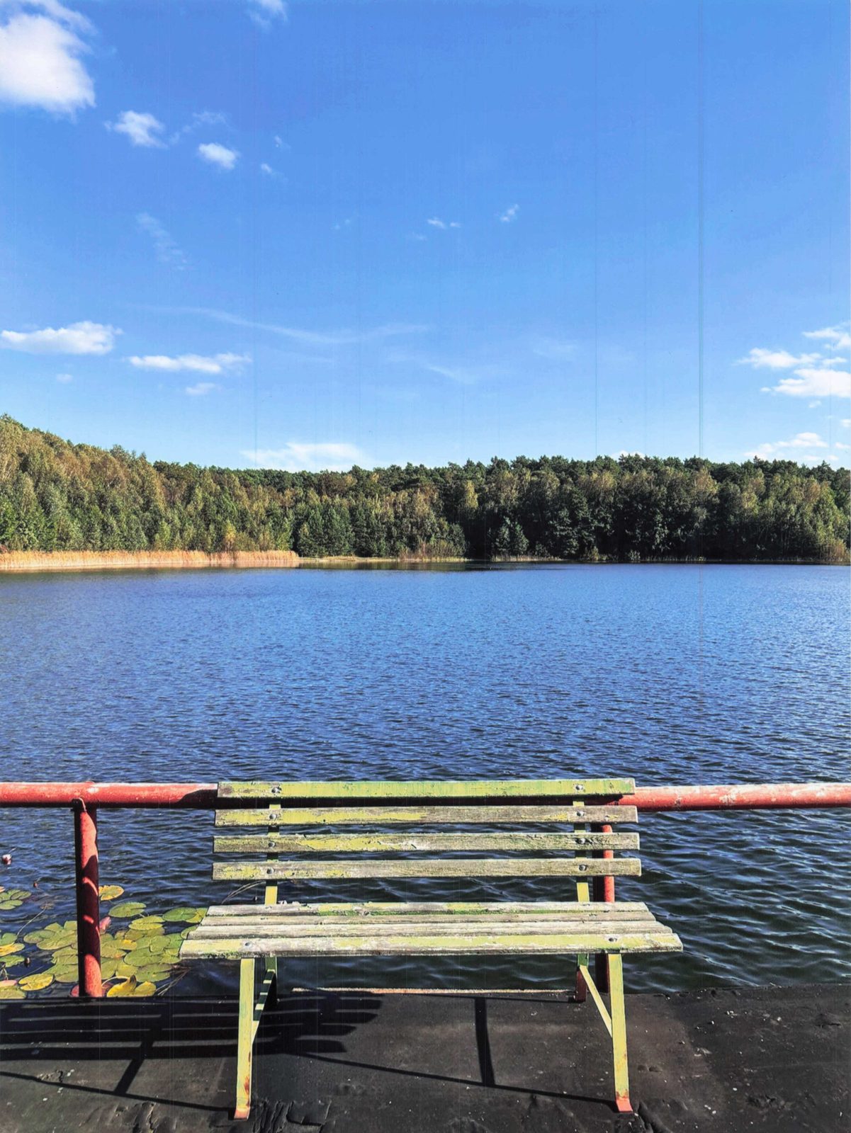 Holzsteg mit Bank am Deulowitzer See, blauer Himmel, Seerosen